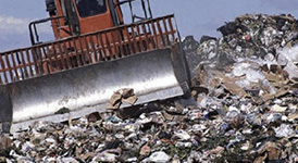 fact-trash