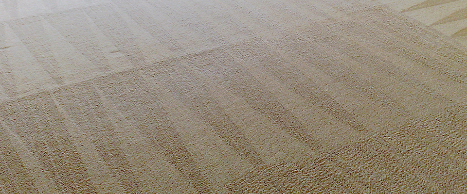 prod-carpet